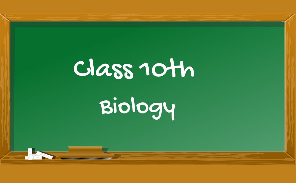 Class 10th Biology